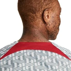 Nike Men's Liverpool FC Prematch Short Sleeve - Wolf Grey/Tough Red -Optimal Sportswear Store AURORA DR4904 013 PHSYM004 2000