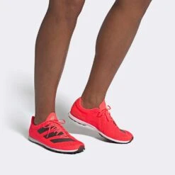 ADIDAS ADIZERO XC Sprint Spike - Signal Pink/Core Black/Cloud White-Regular (D) -Optimal Sportswear Store Adizero XC Sprint Shoes Pink EG8454 010 hover standard