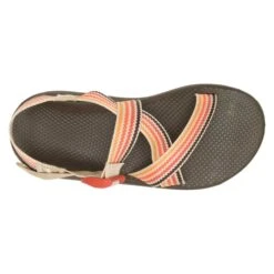 Chaco Men's Z Cloud Sandal - Scoop Dusk - Regular (D) -Optimal Sportswear Store CHAM JCH108677 012422 S23 TOP 1