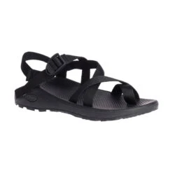 Chaco Men's Z Cloud 2 Sandal - Black- Regular (D)