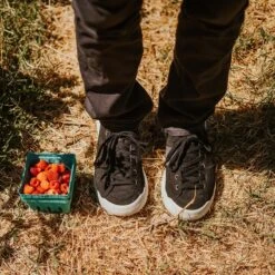 Men's X-Scape NBK Low Sneaker - Black/White - Regular (D) 20 Men's X-Scape NBK Low Sneaker - Black/White - Regular (D) -Optimal Sportswear Store mens x scape nbk low black white ls 1 800x 3a6d1a12 7fd3 4c79 ac9d 13c24d0fd9ec