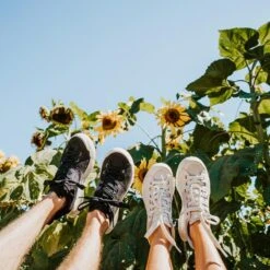 Men's X-Scape NBK Low Sneaker - Black/White - Regular (D) 21 Men's X-Scape NBK Low Sneaker - Black/White - Regular (D) -Optimal Sportswear Store mens x scape nbk low black white ls 2 800x 19e1401c ae96 4599 a957 64c89760f645